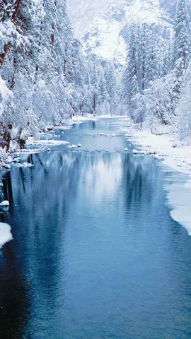 Frozen reflections