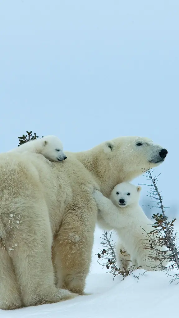A warm hug in a cold place