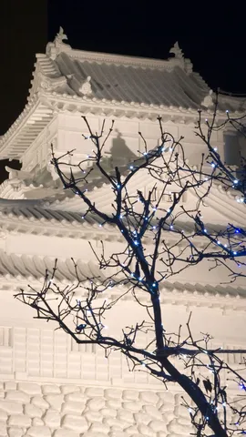 さっぽろ雪まつりが開催中