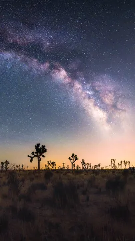 Under the spell of the Milky Way