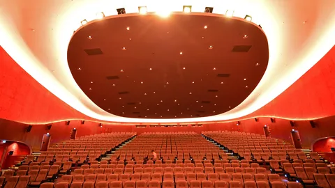 Filmkunst, Vielfalt und Tradition