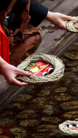 今日はひな祭り