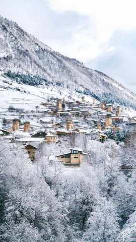 Nel gelo dei secoli