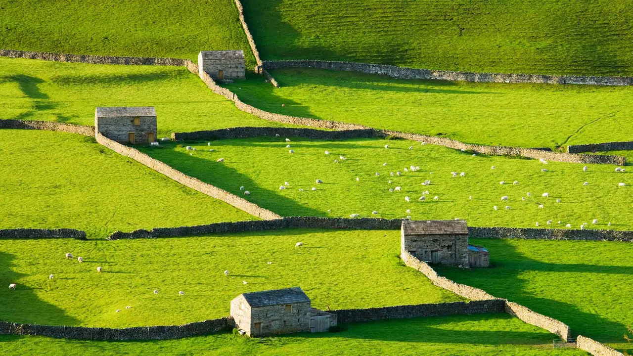 Uma terra verde e agrad&aacute;vel