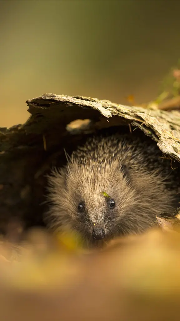 Kein Platz mehr hier!