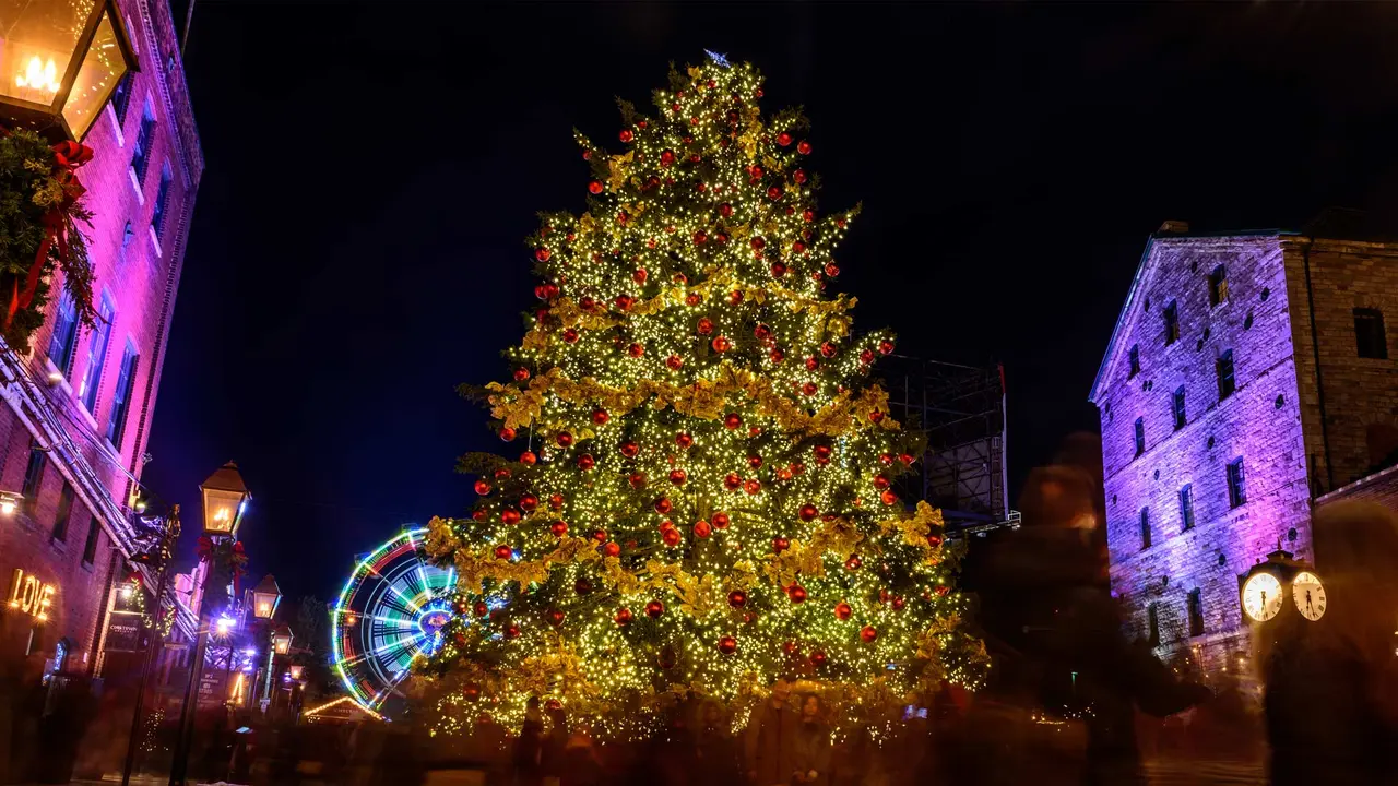Merry Christmas!