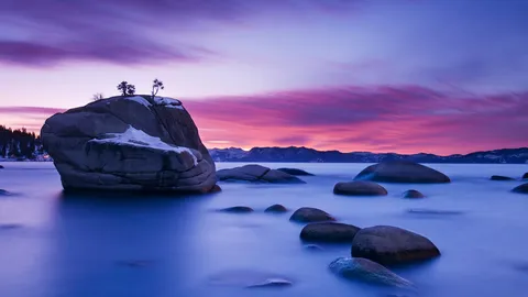 Les bonsa&iuml;s de la nature