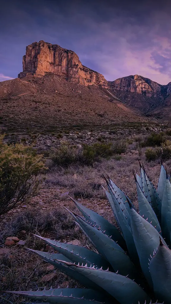 Aparquemos aqu&iacute;