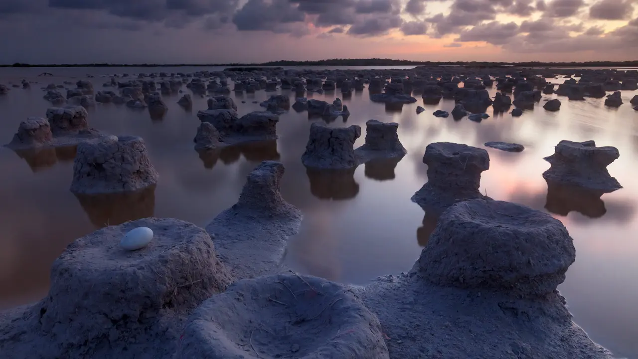 Onde a natureza encontra a sustentabilidade