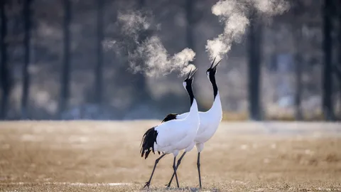Ready to let off some steam?