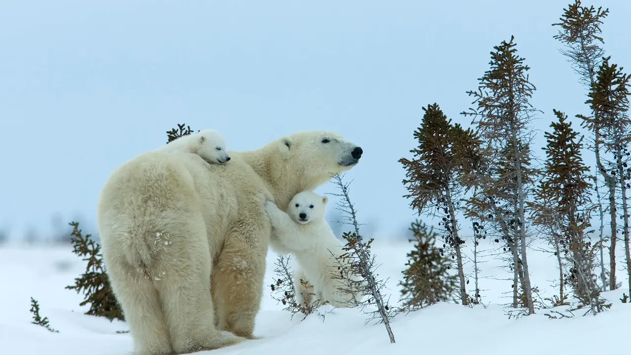 A warm hug in a cold place