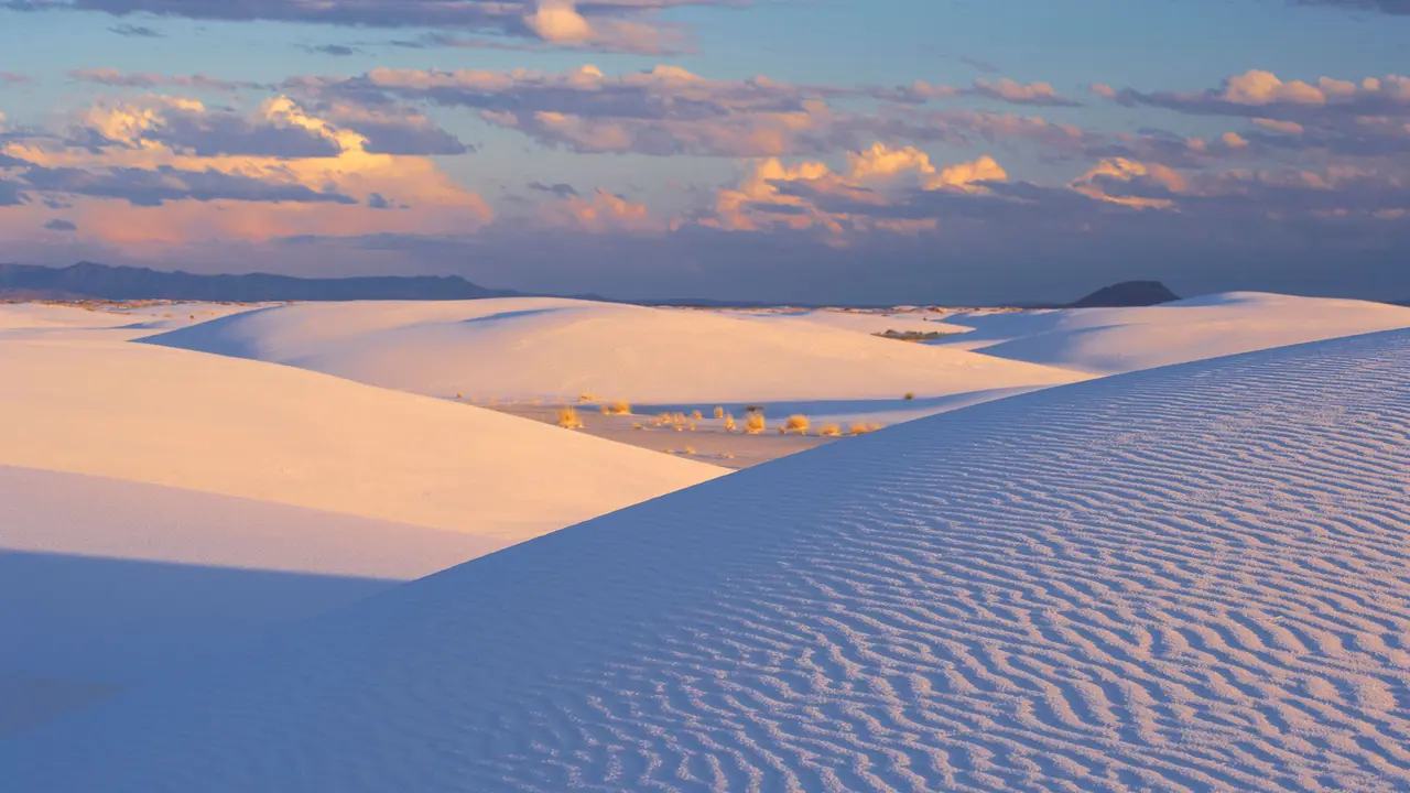 1,001 Mexican dunes