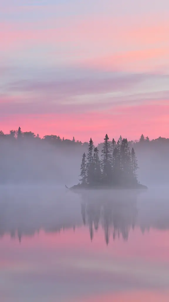 Morning in the mist