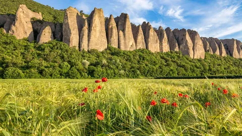 Les G&eacute;ants de la Haute-Provence