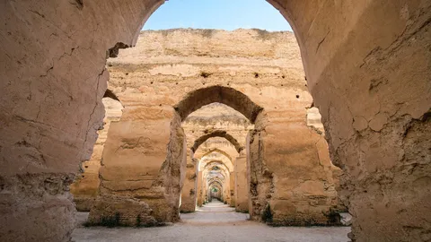 Arches of a bygone era