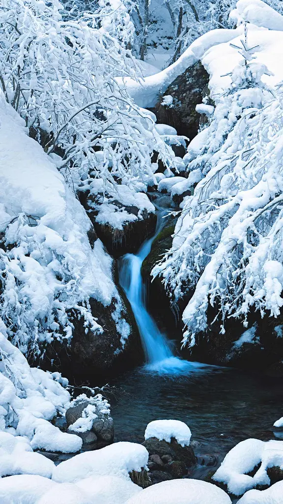 Fl&uuml;stern in Wei&szlig;