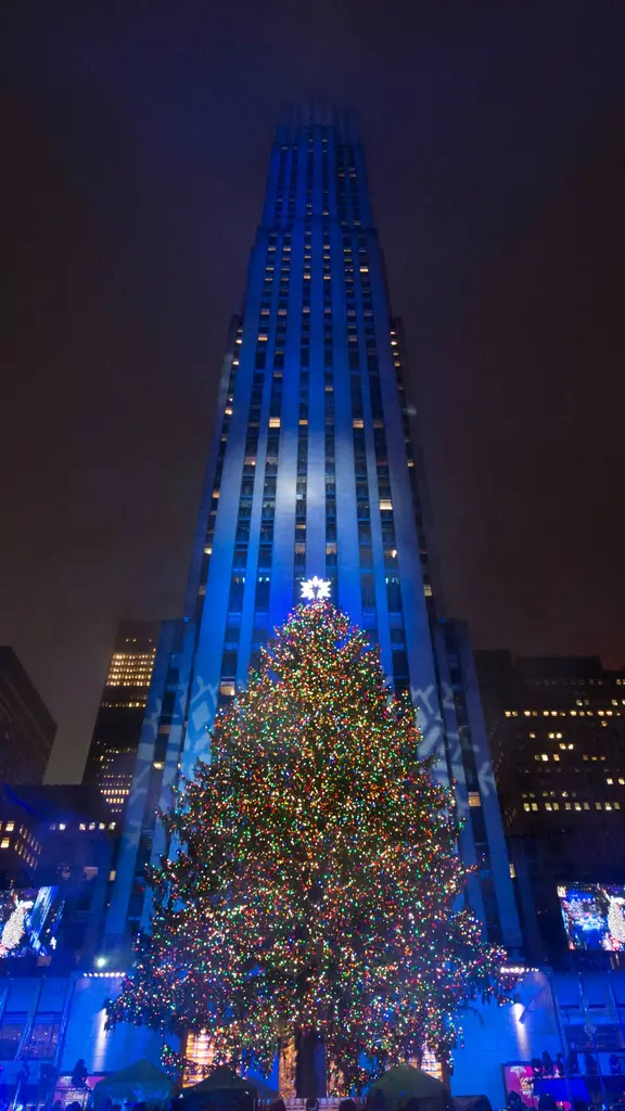 &iexcl;Un &aacute;rbol de pel&iacute;cula!