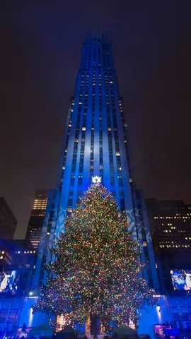 &iexcl;Un &aacute;rbol de pel&iacute;cula!