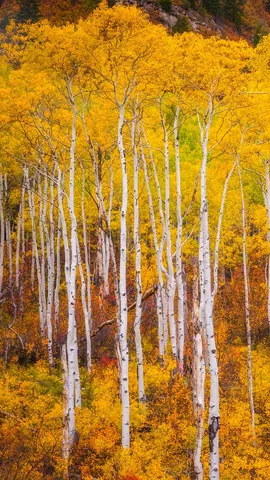 Le Colorado haut en couleur