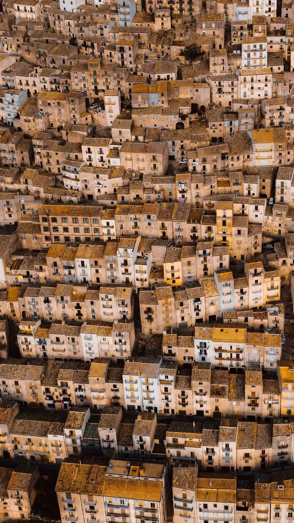 你是81亿人口中的一员