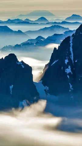 令人惊叹的后花园