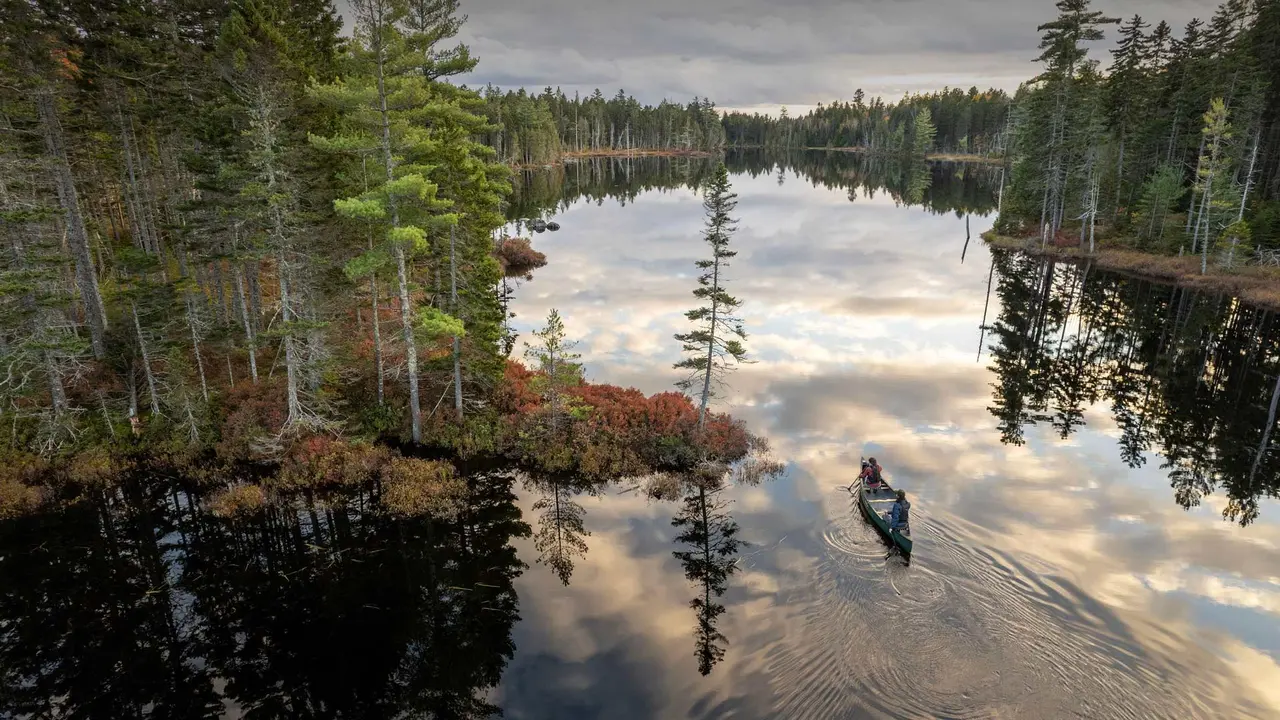 All about the woods and waters