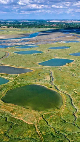 Une baie &agrave; l&rsquo;&eacute;coute du monde sauvage