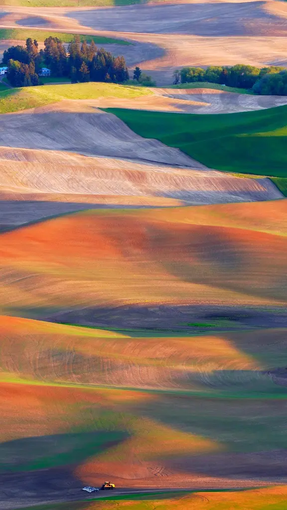 Perfect, pastoral Palouse