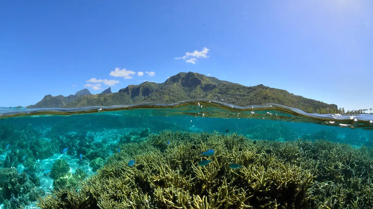 Le lagon enchant&eacute; de Moorea